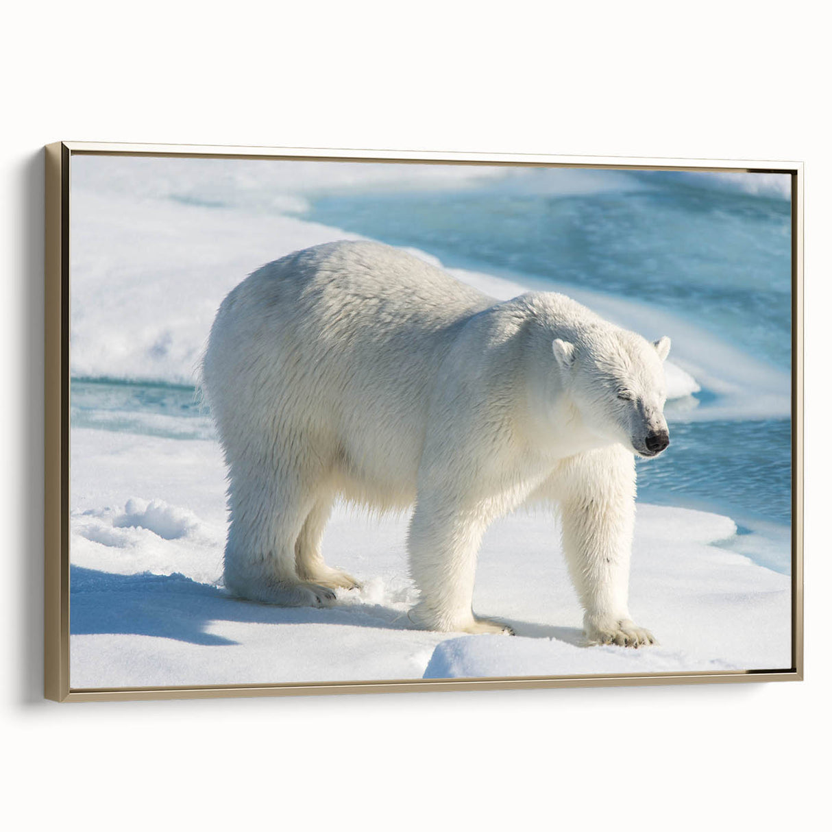 Framed wall art showcasing a polar bear design on canvas with a gold frame, highlighting the animal's majestic presence against a minimalist background. Perfect for nature lovers and wildlife enthusiasts, this piece adds elegance and warmth to any room decor.