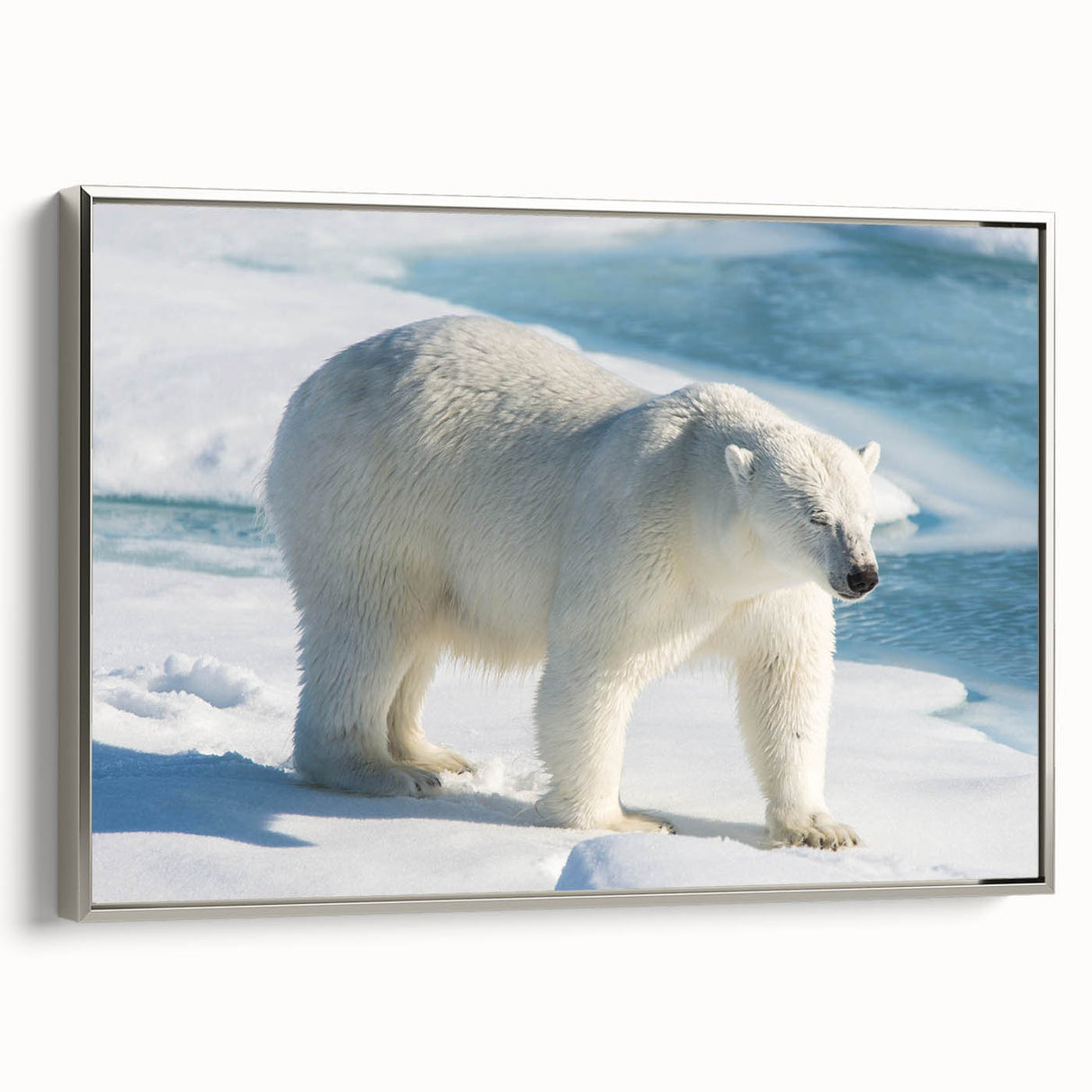 Framed polar bear wall art in silver, showcasing a stunning design of a majestic polar bear against a nature-inspired background, perfect for modern decor.