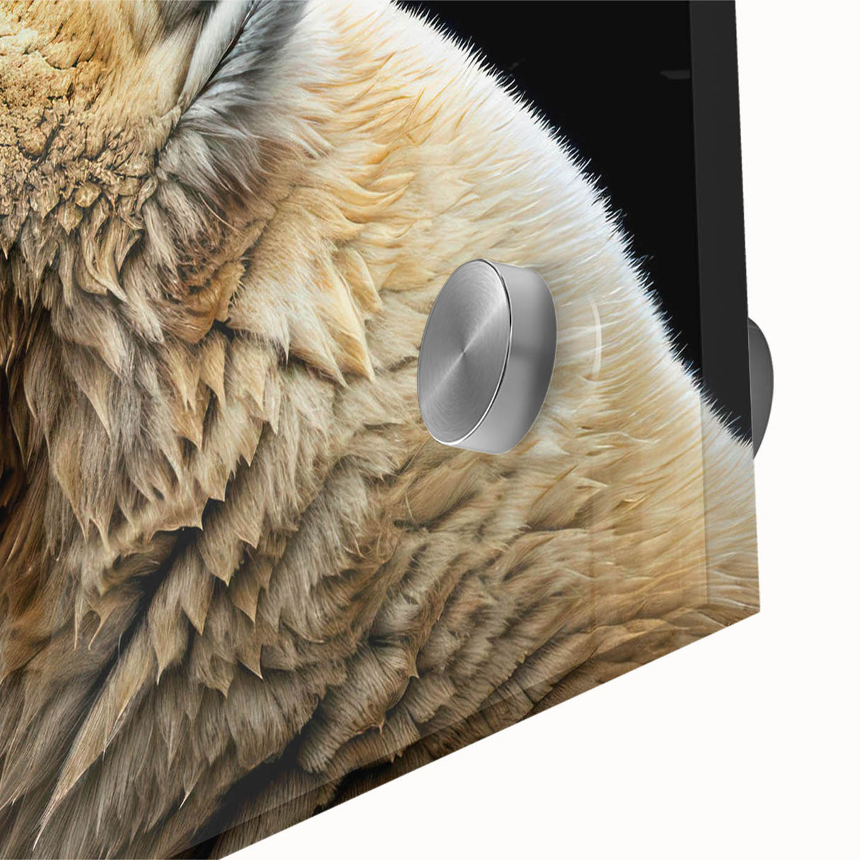 Close-up of a polar bear wall art design showcasing intricate details and vibrant colors on acrylic glass, perfect for modern home decor. Ideal for wildlife enthusiasts.