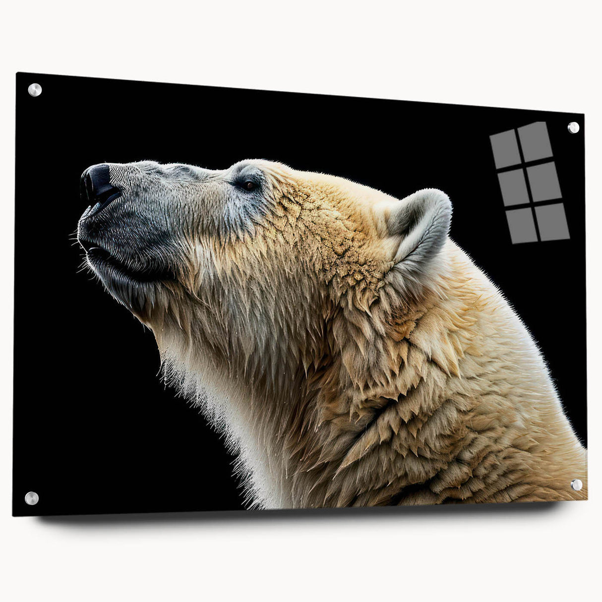 Polar bear wall art design featuring a striking acrylic glass frame with a sleek side view, showcasing vibrant colors and intricate details, perfect for modern decor.