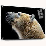 Polar bear wall art design featuring a striking acrylic glass frame with a sleek side view, showcasing vibrant colors and intricate details, perfect for modern decor.