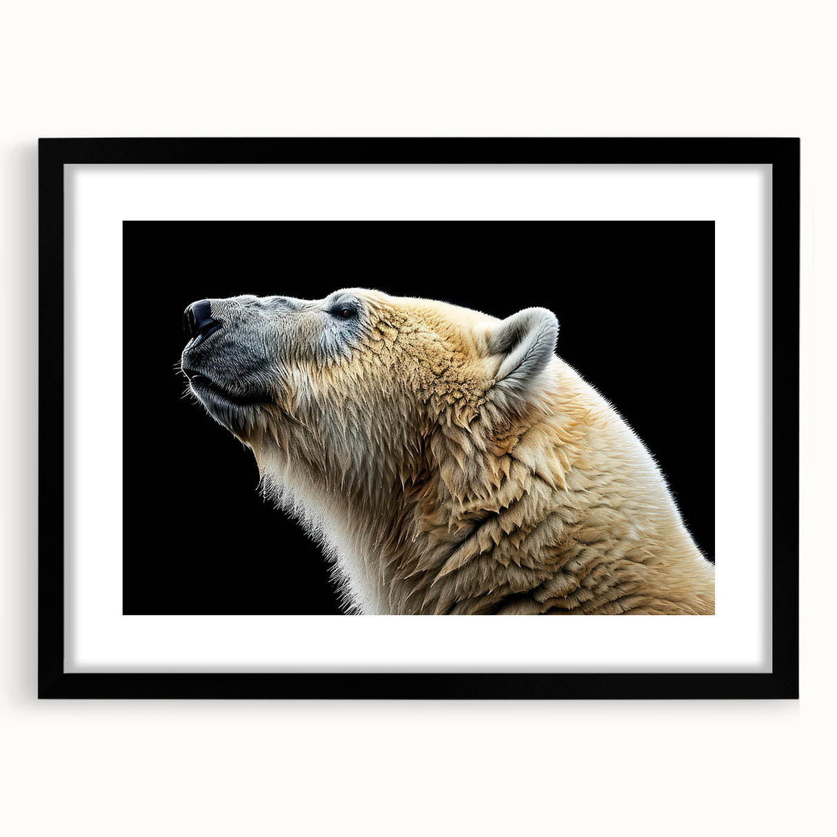 Polar bear wall art framed with a sleek black mat, showcasing a stunning design that captures the essence of Arctic wildlife, perfect for modern decor.