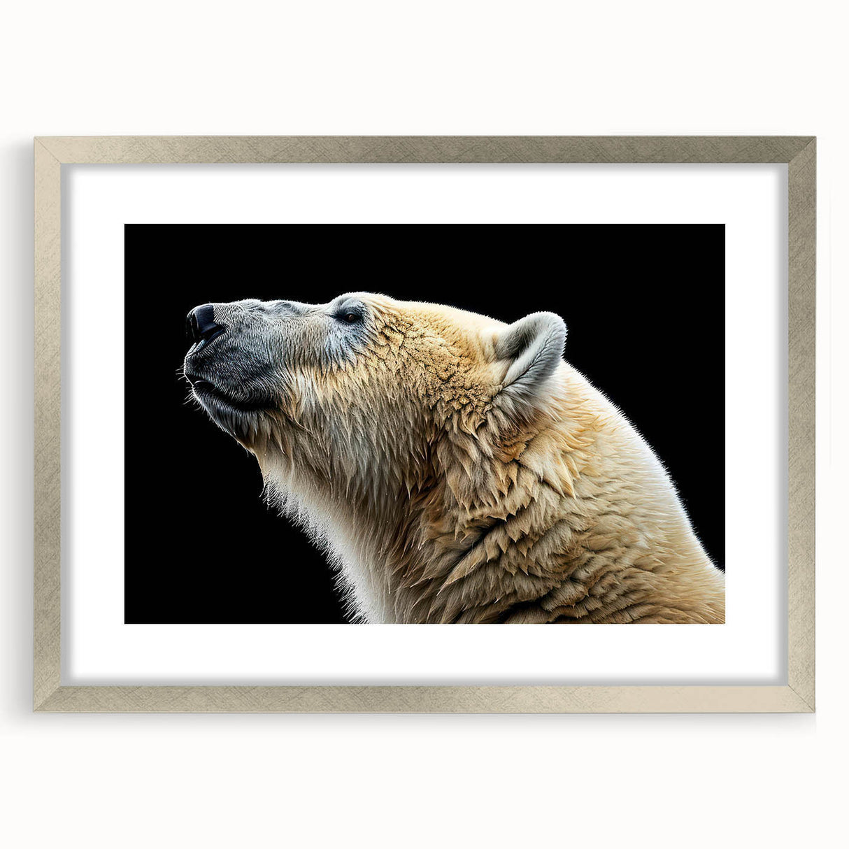 Framed polar bear wall art design in a sleek silver frame, featuring intricate details and a mat, perfect for modern home decor. Ideal for wildlife enthusiasts and art collectors.