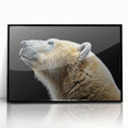 Framed wall art featuring a striking polar bear design with a black acrylic frame, perfect for adding a modern touch to home decor. This piece showcases the beauty of wildlife art in a contemporary setting.