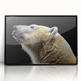 Framed wall art featuring a striking polar bear design with a black acrylic frame, perfect for adding a modern touch to home decor. This piece showcases the beauty of wildlife art in a contemporary setting.
