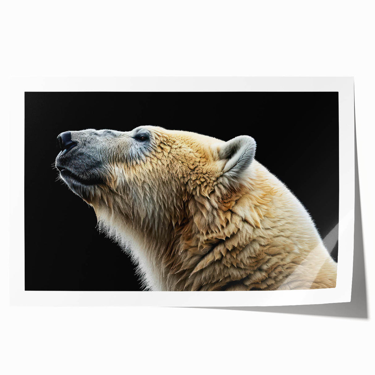 Polar bear wall art print featuring a striking illustration of a majestic polar bear against a serene icy background, perfect for adding a touch of nature-inspired decor to any space.