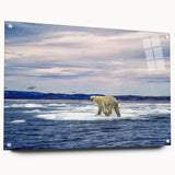 Polar bear wall art design displayed in acrylic glass, showcasing a side view with unique pin details, perfect for contemporary home decor and wildlife enthusiasts.