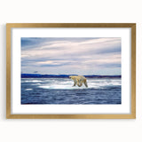 Framed wall art featuring a striking polar bear design on a white background, accented with a gold frame and mat, perfect for modern home decor.