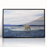 Framed wall art featuring a striking polar bear design on a black background, showcasing intricate details and vibrant colors, perfect for wildlife enthusiasts.