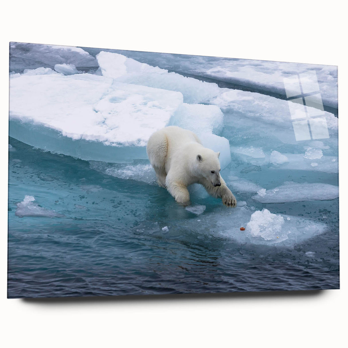 Polar bear wall art design displayed on acrylic glass, showcasing a side view without pins. The artwork features a striking polar bear in a vibrant icy setting, perfect for nature enthusiasts and home decor.