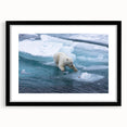 Polar bear wall art design featuring a minimalist black frame and mat, showcasing a striking polar bear illustration perfect for modern home decor. Ideal for animal lovers and eco-conscious decor enthusiasts.