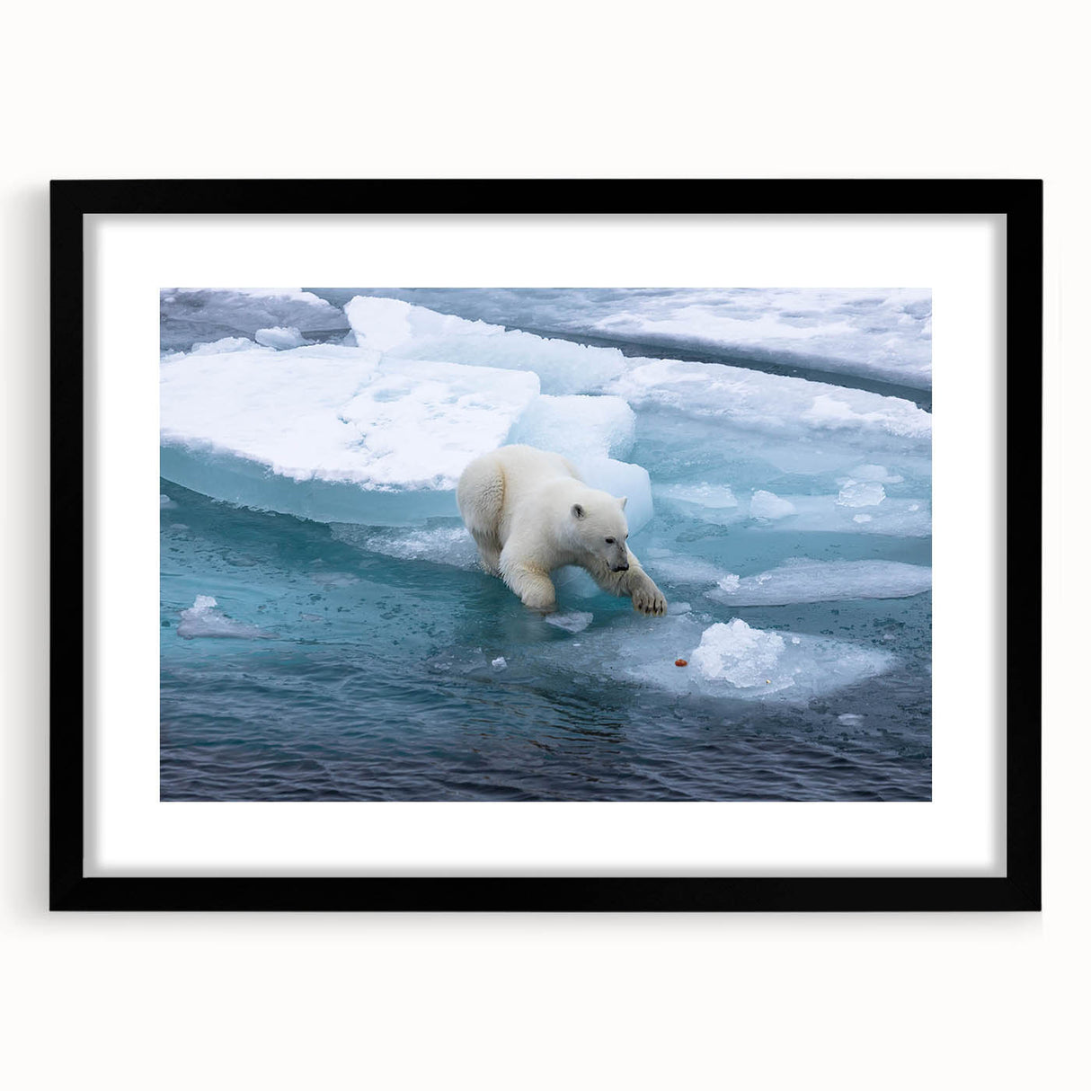 Polar bear wall art design featuring a minimalist black frame and mat, showcasing a striking polar bear illustration perfect for modern home decor. Ideal for animal lovers and eco-conscious decor enthusiasts.