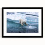 Polar bear wall art design featuring a minimalist black frame and mat, showcasing a striking polar bear illustration perfect for modern home decor. Ideal for animal lovers and eco-conscious decor enthusiasts.