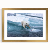Polar bear wall art design featuring a sleek gold frame and mat, perfect for modern decor. Ideal for wildlife enthusiasts and stylish home interiors.