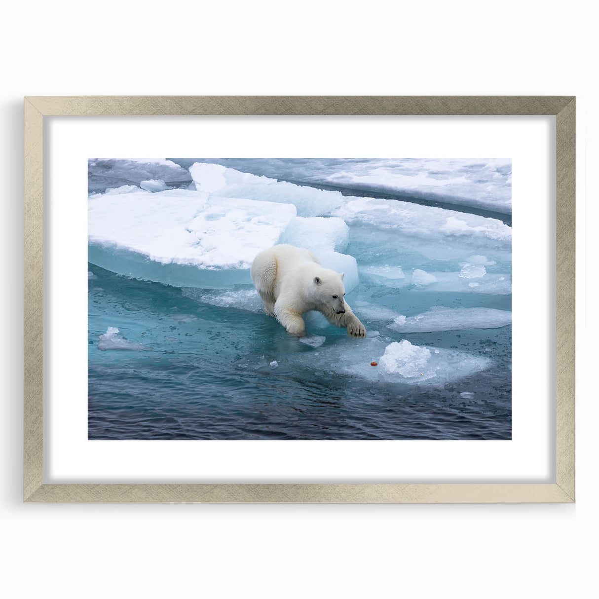 Polar bear wall art design displayed in a sleek silver frame with a mat, showcasing a modern aesthetic, perfect for enhancing contemporary home decor.