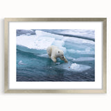 Polar bear wall art design displayed in a sleek silver frame with a mat, showcasing a modern aesthetic, perfect for enhancing contemporary home decor.