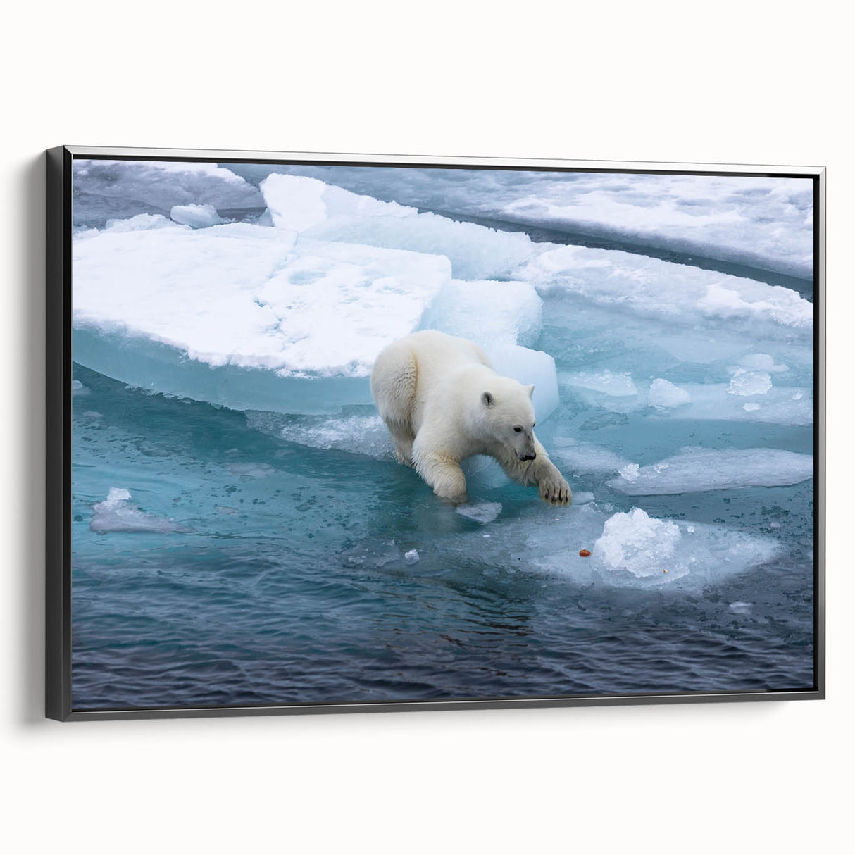 Framed canvas wall art showcasing a polar bear design with a black frame, viewed from the side, perfect for enhancing modern home decor with wildlife themes.