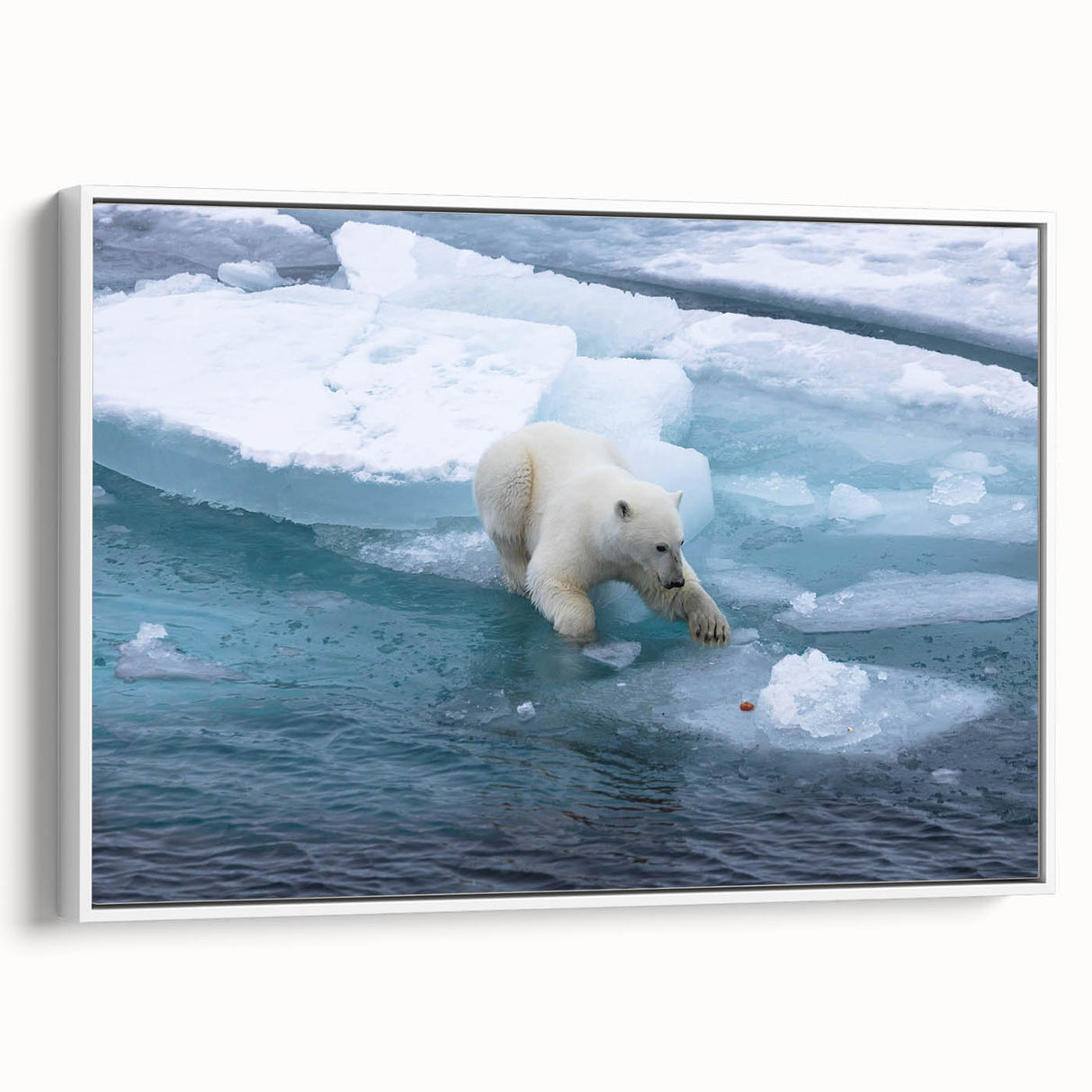 Framed canvas wall art featuring a polar bear design, showcasing a white bear against a minimalist background, perfect for wildlife decor enthusiasts.