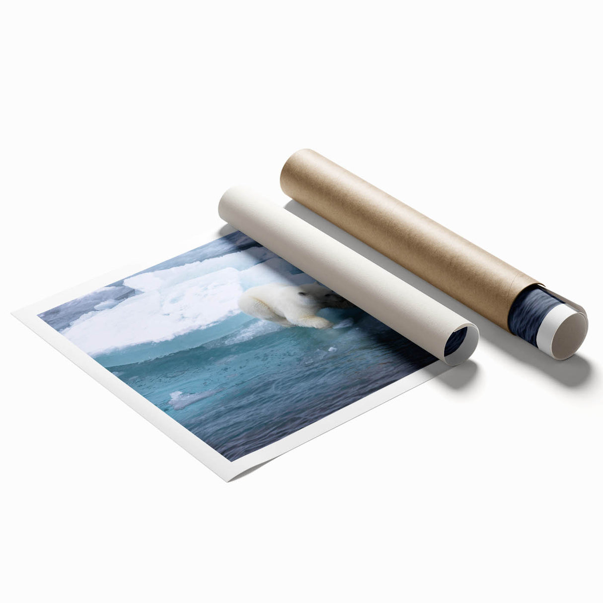 Polar bear wall art print showcasing a minimalist design with soft blue and white tones, rolled for easy framing and display, perfect for wildlife enthusiasts.