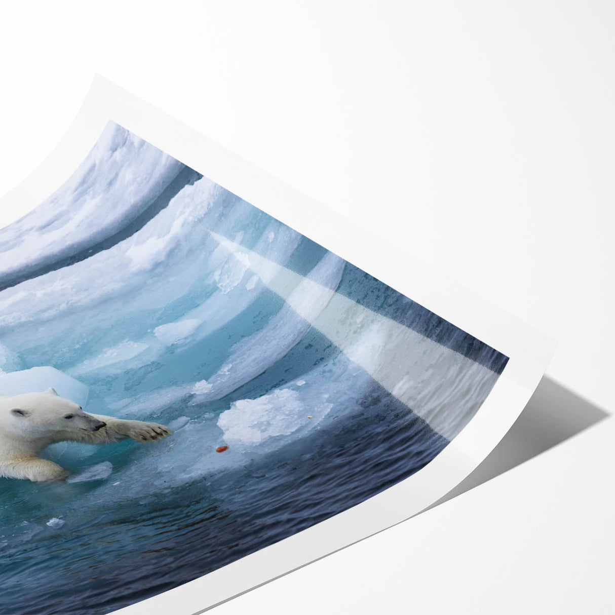 Polar bear wall art print showcasing a detailed illustration of a polar bear against a snowy background, rolled and ready for framing. Ideal for wildlife enthusiasts.