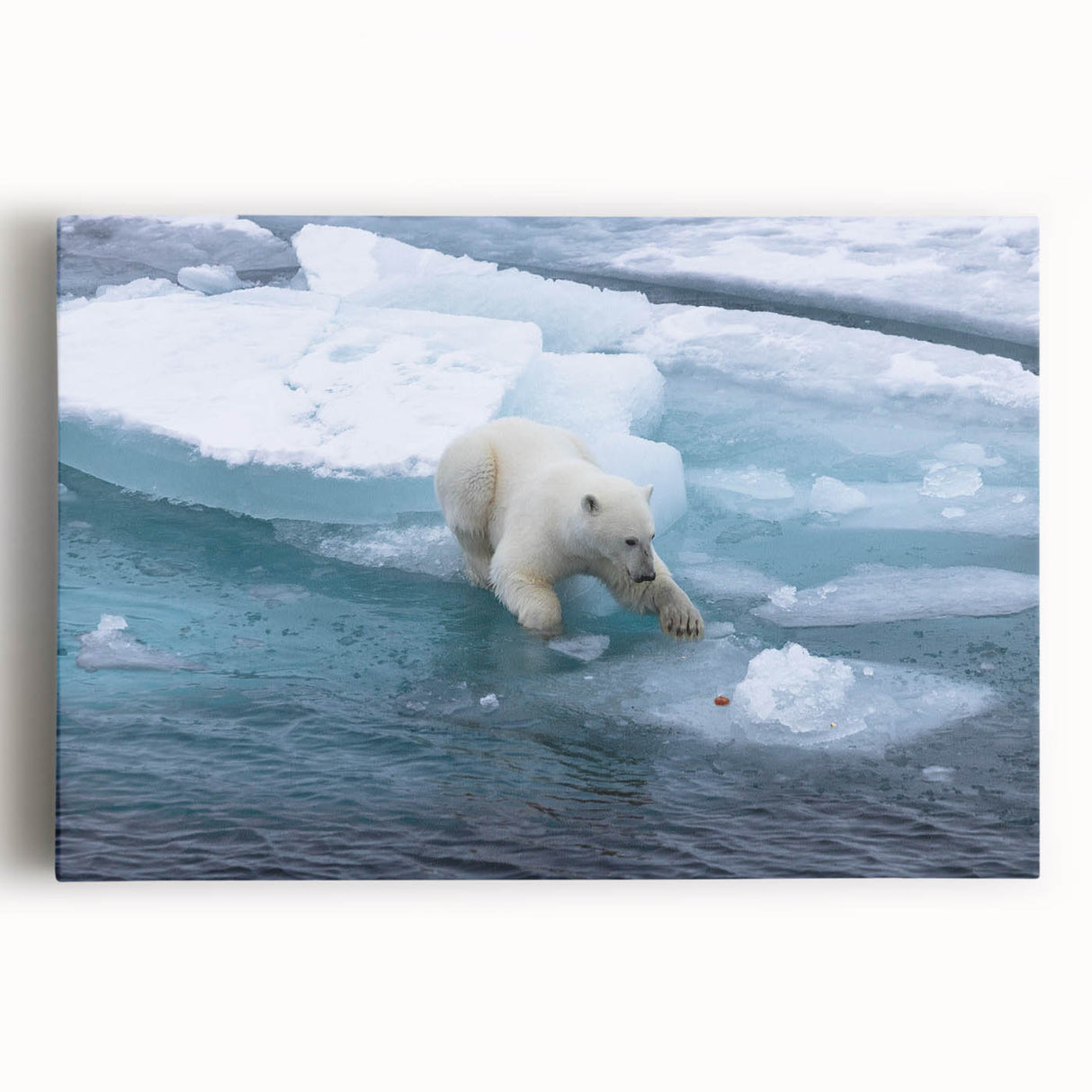 Stretched canvas wall art featuring a striking polar bear design in icy blue tones, perfect for adding a touch of nature-inspired decor to any room.