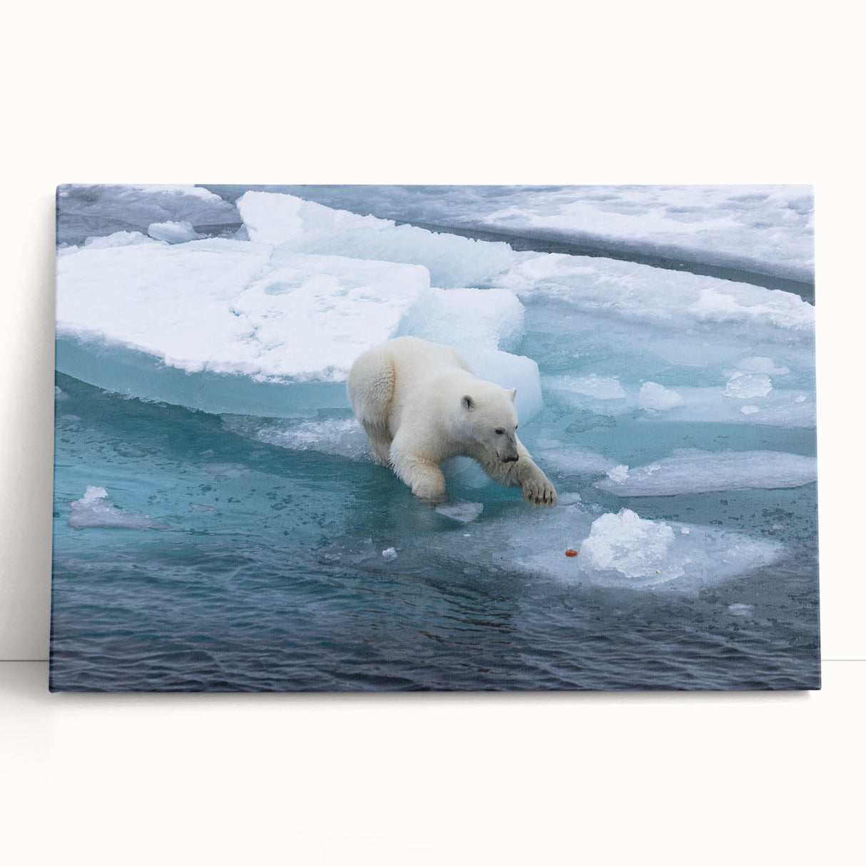 Polar bear wall art canvas featuring a striking design of a white polar bear against a serene blue background, perfect for adding a touch of nature to any room.