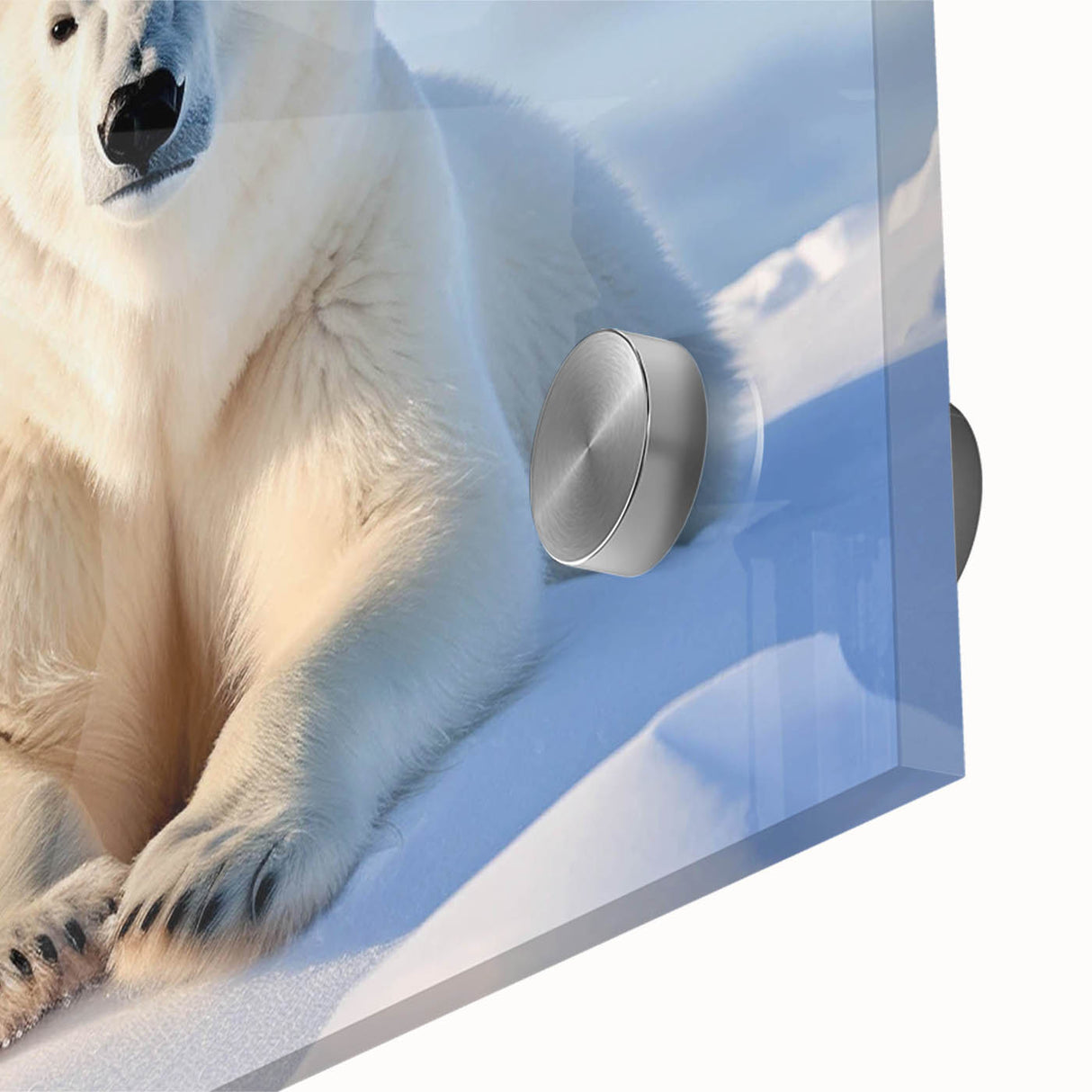 Close-up of a striking polar bear design wall art piece, featuring vibrant colors and intricate details, perfect for enhancing modern home decor aesthetics.
