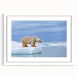 Polar bear wall art featuring a striking white bear design in a sleek frame with a white mat, perfect for adding a modern touch to any room decor.