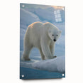 Side view of a polar bear wall art design displayed on an acrylic glass panel, featuring vibrant colors and intricate details, ideal for modern home decor.