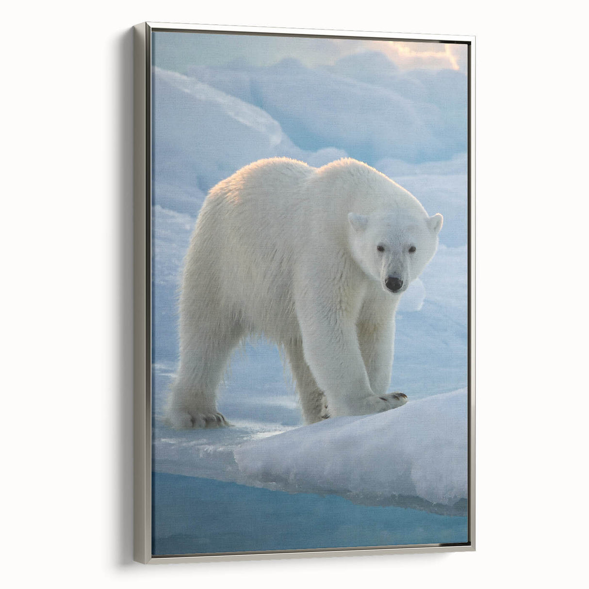 Framed canvas wall art featuring a striking polar bear design, elegantly bordered in silver, showcasing the majestic animal against a serene backdrop. Perfect for wildlife enthusiasts and modern decor.