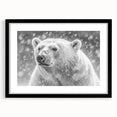 Polar bear wall art design featuring a black frame and mat, showcasing a striking illustration of a polar bear against a minimalist background, ideal for modern home decor.