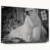 Polar bear wall art collection featuring a side view of a glass acrylic design with decorative pins, showcasing a minimalist aesthetic for modern decor.