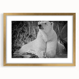 Polar bear wall art collection featuring a framed design with a gold mat, showcasing a striking front view of the artwork. Ideal for home decor enthusiasts.