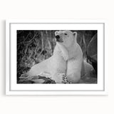 Framed wall art featuring a polar bear design with a white mat, showcasing a modern aesthetic. Ideal for animal lovers and home decor enthusiasts.