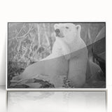 Framed wall art featuring a polar bear design in a minimalist white frame, showcasing a striking acrylic finish that enhances the animal's majestic presence. Perfect for modern home decor.
