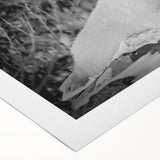 Polar bear wall art design displayed on a rolled canvas, featuring a striking monochrome illustration against a bright white background, perfect for adding a modern touch to home decor.