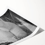 Polar bear wall art print showcasing a striking design with a minimalist color palette of white and blue, rolled and ready for display, perfect for wildlife enthusiasts.