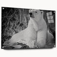 Acrylic wall art featuring a side view of a polar bear design, showcasing intricate details and vibrant colors, perfect for wildlife enthusiasts and home decor.