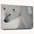 Polar bear wall art design featuring a side view of an acrylic glass frame, showcasing intricate details and vibrant colors, perfect for modern home decor.
