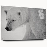 Polar bear wall art design featuring a side view of an acrylic glass frame, showcasing intricate details and vibrant colors, perfect for modern home decor.