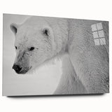 Acrylic glass wall art displaying a stunning polar bear design, showcasing vibrant colors and intricate details, ideal for modern home decor. Perfect for animal lovers and eco-friendly interiors.
