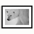 Polar bear wall art design in a sleek black frame, featuring a striking monochrome illustration of a polar bear, ideal for modern home decor.