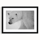 Polar bear wall art design in a sleek black frame, featuring a striking monochrome illustration of a polar bear, ideal for modern home decor.