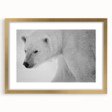 Polar bear wall art framed in gold, showcasing a striking design with a mat. Ideal for home decor, this piece adds elegance and wildlife charm to any room.