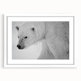 Framed polar bear wall art design showcasing a white bear in a serene snowy landscape, perfect for adding a touch of nature to modern home decor.