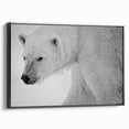 Framed canvas wall art showcasing a polar bear design, set against a black background, viewed from the side to highlight its sleek profile and artistic detail. Ideal for wildlife enthusiasts and modern decor lovers.