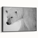Framed canvas wall art showcasing a polar bear design, set against a black background, viewed from the side to highlight its sleek profile and artistic detail. Ideal for wildlife enthusiasts and modern decor lovers.