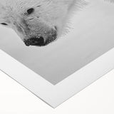 Polar bear wall art design on rolled canvas, showcasing intricate details and vibrant colors, perfect for adding a touch of nature to home decor. Ideal for wildlife enthusiasts and art collectors.