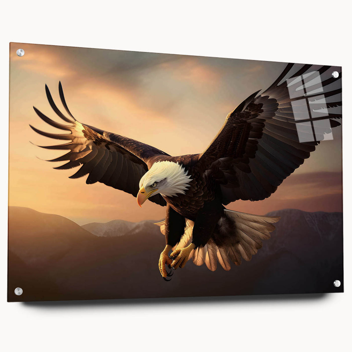 Acrylic glass wall art titled "Birds of Pray," showcasing a vibrant design with detailed bird illustrations and colorful accents, displayed at an angle with clear pins, ideal for modern decor.