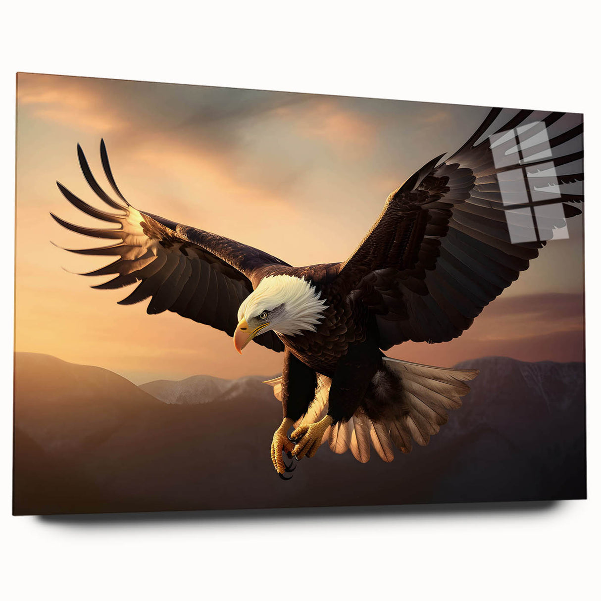 Side view of the Birds of Prey wall art collection displayed in acrylic glass, showcasing detailed bird illustrations with vibrant colors, ideal for wildlife enthusiasts and home decor.
